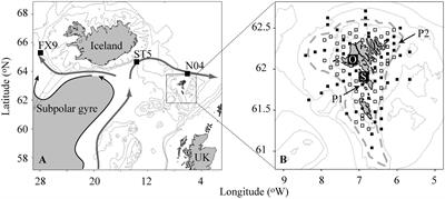 Environmentally Driven Ecological Fluctuations on the Faroe Shelf Revealed by Fish Juvenile Surveys